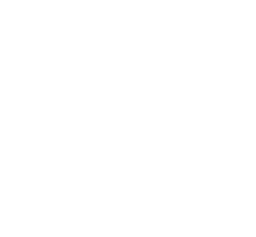 Fundación Visión de Futuro